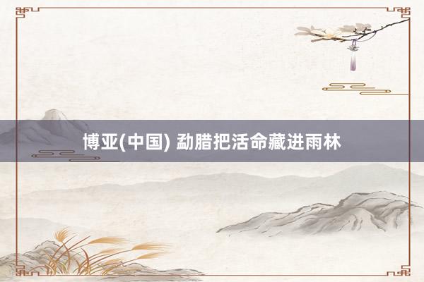 博亚(中国) 勐腊把活命藏进雨林