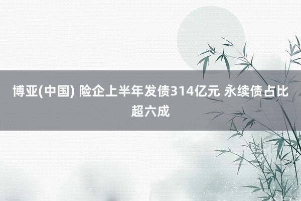 博亚(中国) 险企上半年发债314亿元 永续债占比超六成